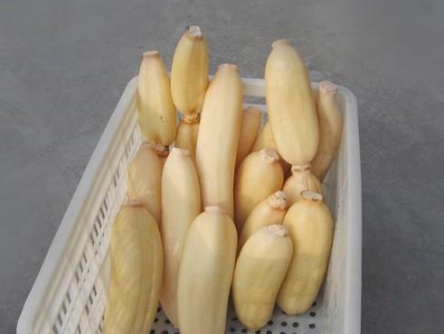 建造蓮藕冷藏庫(kù)多少錢(qián)一平，100噸的蓮藕要多大庫(kù)