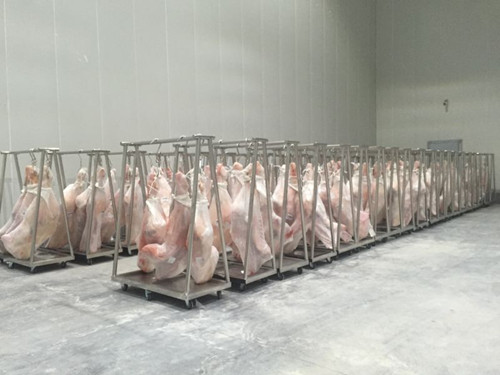 -18℃雞肉冷凍庫造價多少錢？冷凍品冷庫