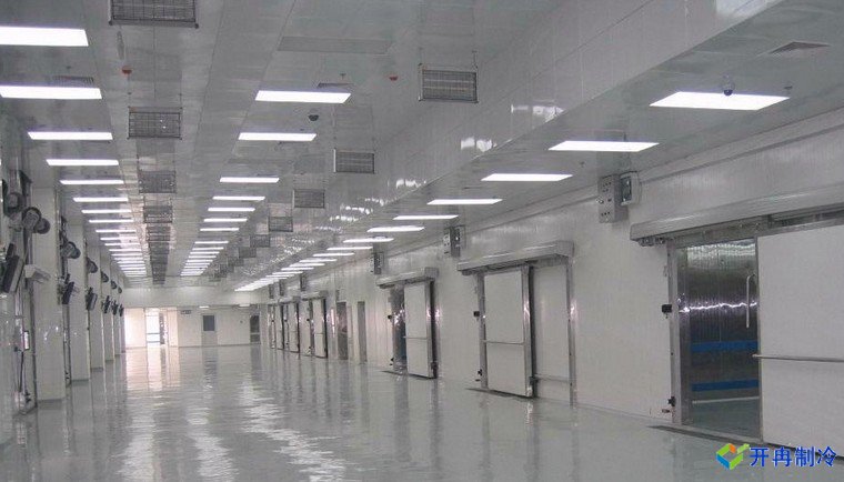 建造500噸帶魚低溫冷庫，海鮮冷凍庫報價
